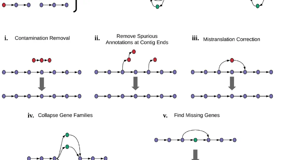 Producing polished prokaryotic pangenomes with the Panaroo pipeline