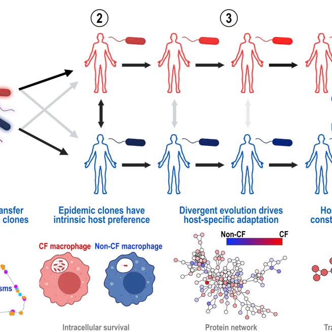 Evolution and host-specific adaptation of Pseudomonas aeruginosa